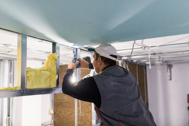 Best Insulation Replacement Services  in Raton, NM