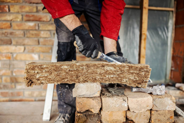Best Attic Insulation Installation  in Raton, NM